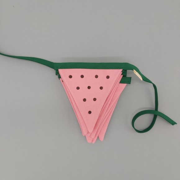 FABRIC GARLAND FLAG BUNTING, WATERMELON BUNTING, WALL DECORATION, PARTY DECOR - Picture 8 of 10